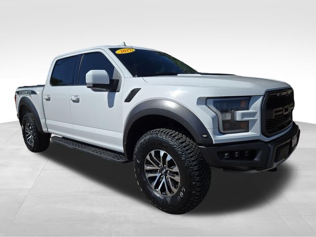 2019 FORD F150 RAPTOR in Kalispell, MT