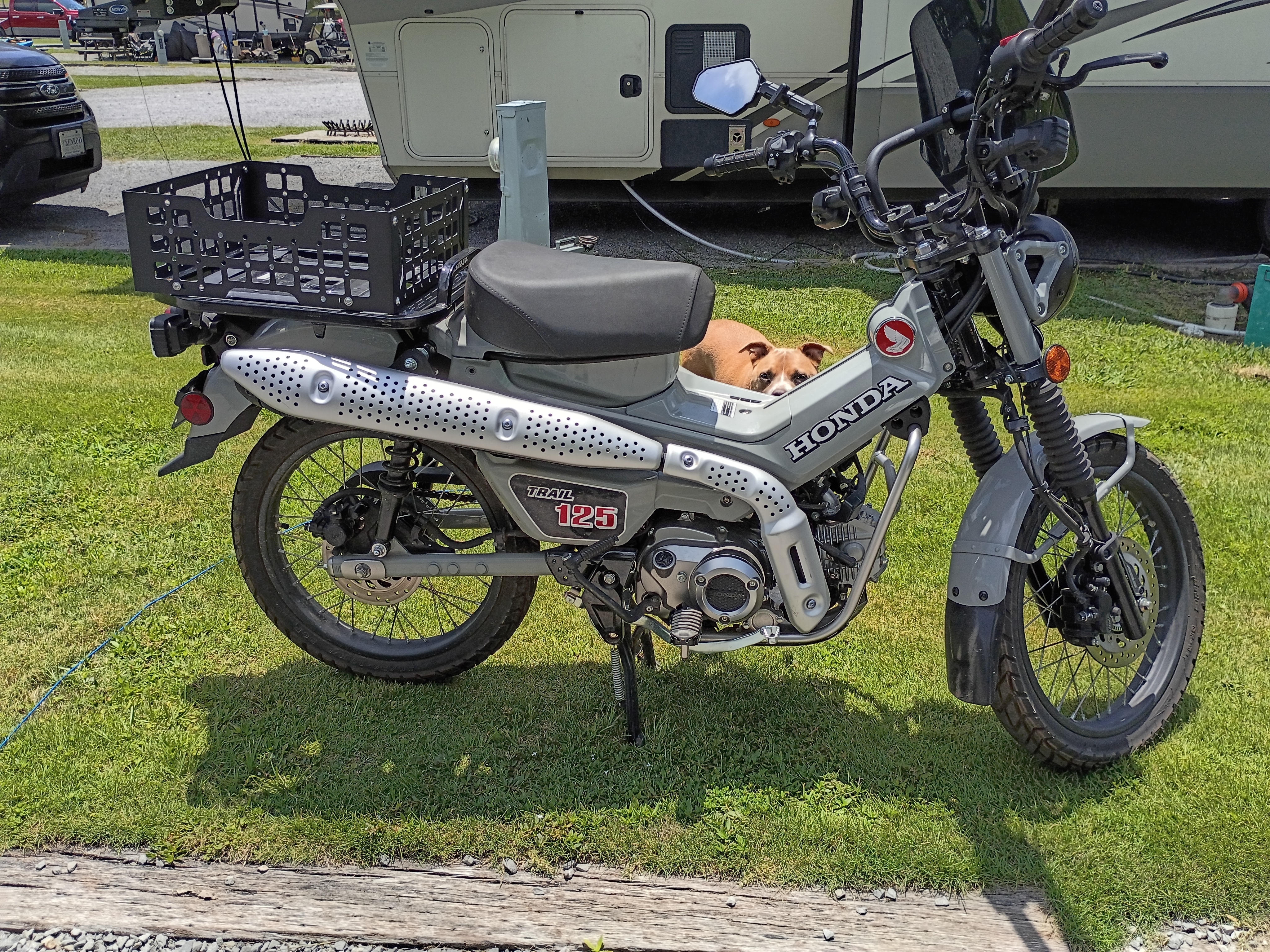2025 Honda TRAIL 125 ABS 125 ABS in Gadsden, AL