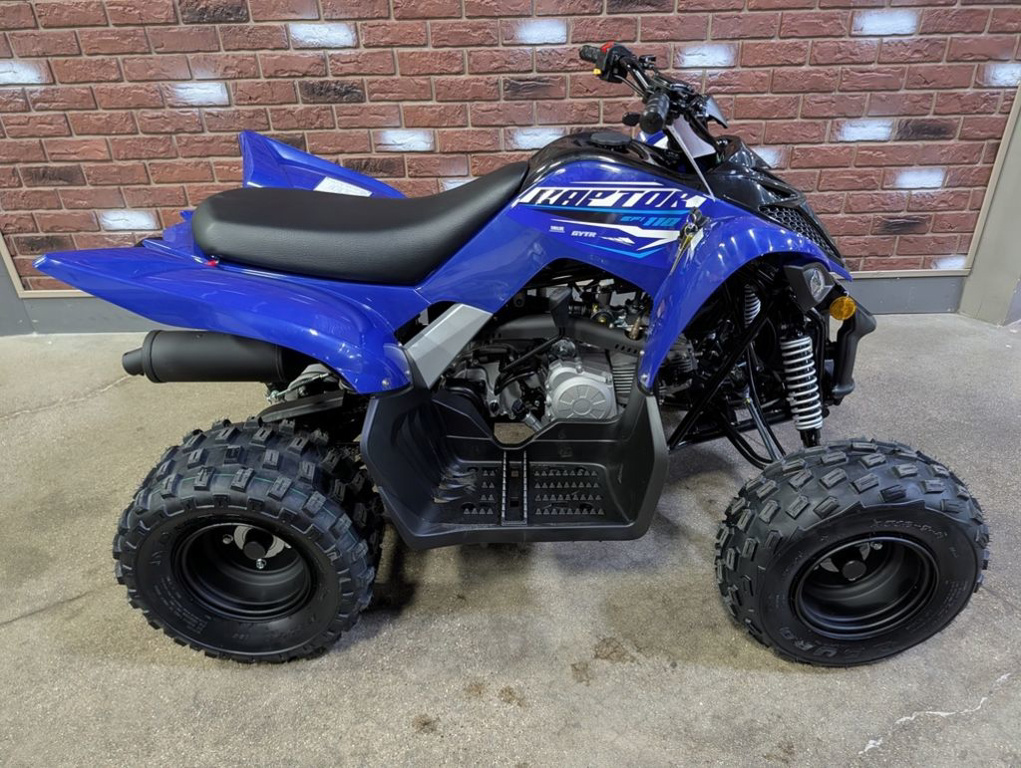 2026 Yamaha Raptor 110 in dimondale MI