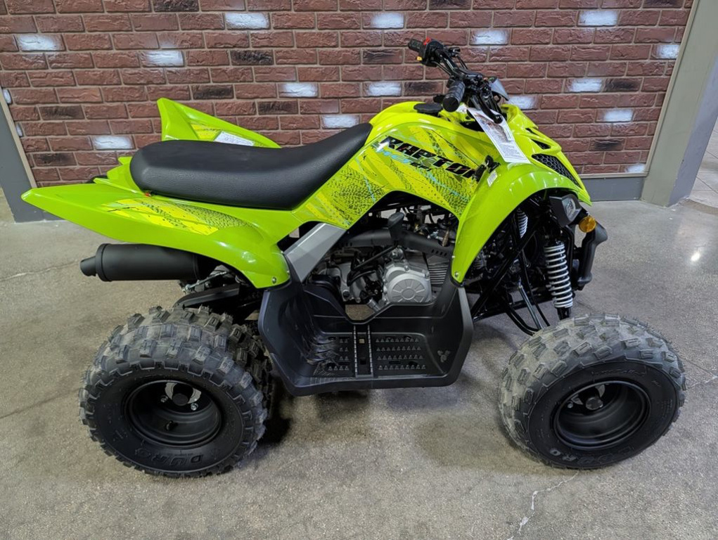 2026 Yamaha Raptor 110 in dimondale MI