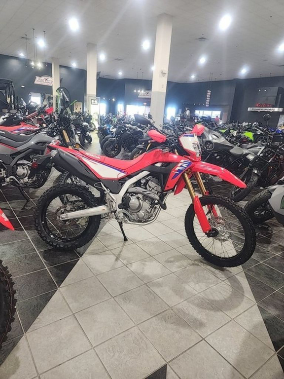 2025 Honda CRF300L ABS 300L ABS in Myrtle Beach, SC