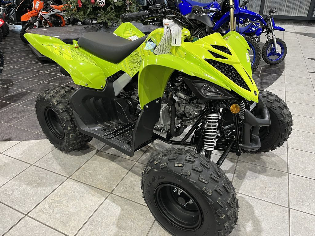 2026 Yamaha Raptor 110 in myrtle beach SC