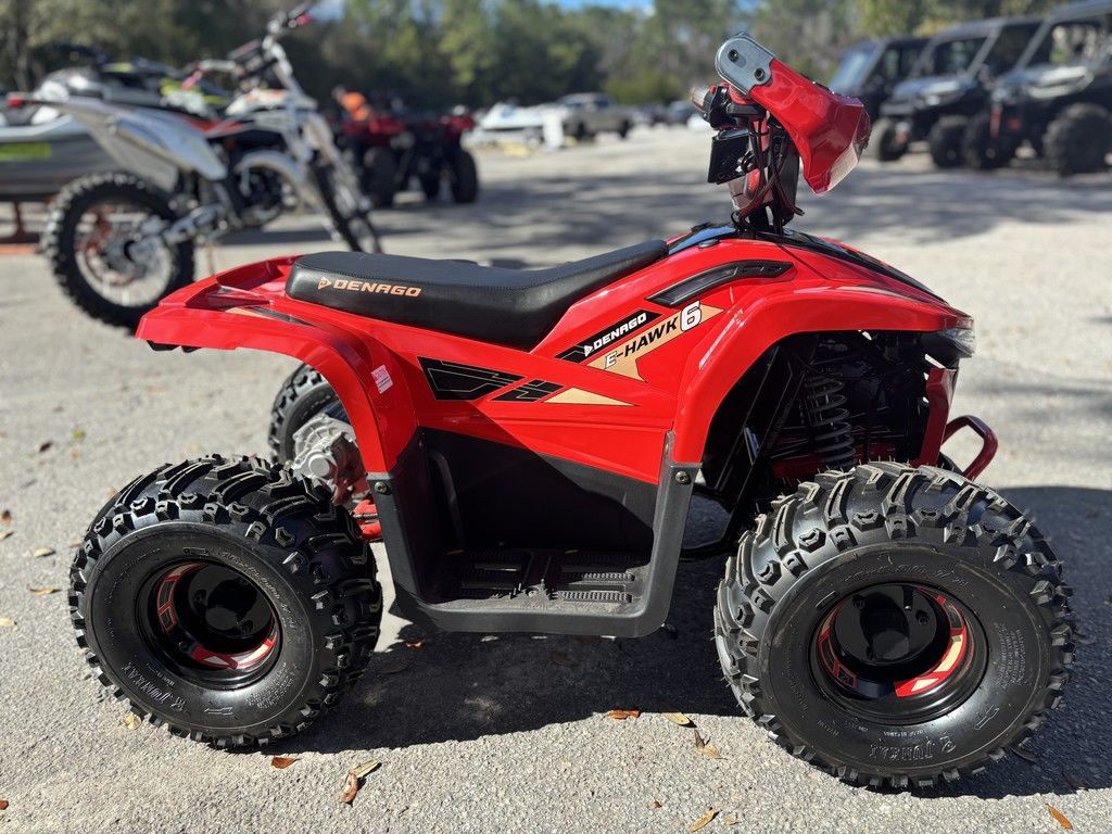 2026 Denago Powersports E-Hawk 6 in gainesville FL