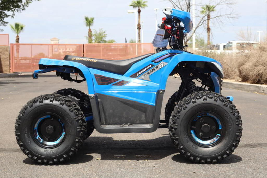 2026 Denago Powersports E-Hawk 6 in daytona beach FL