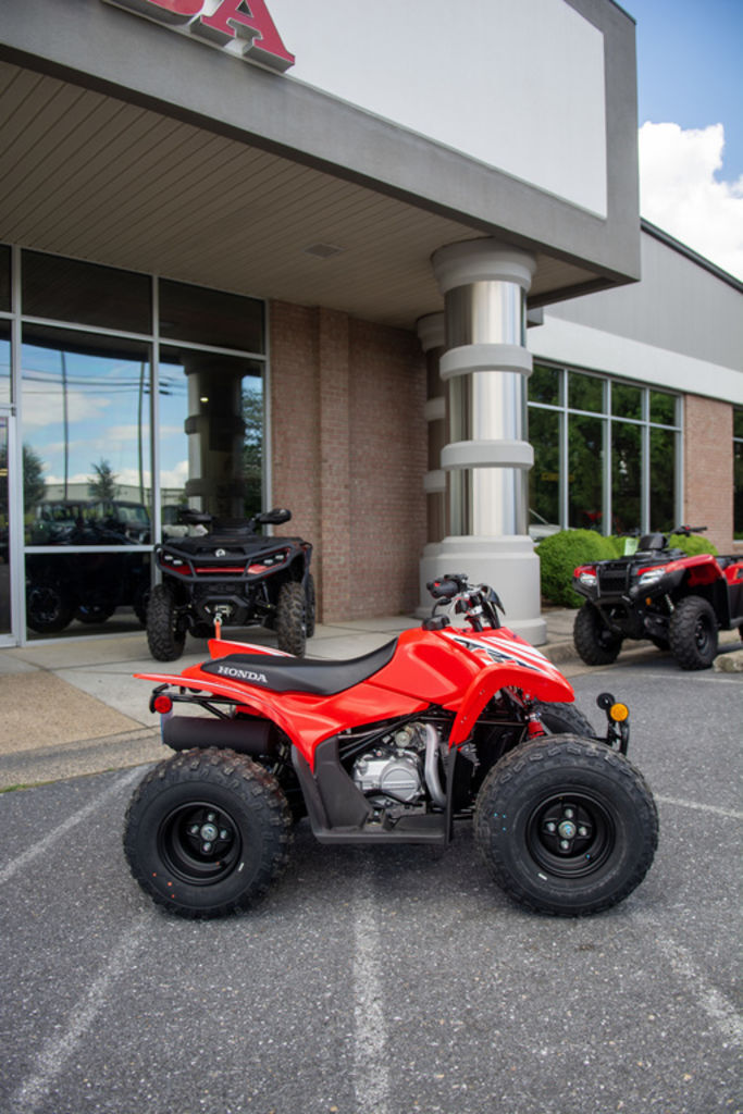2026 Honda® TRX90X in harrisonburg VA