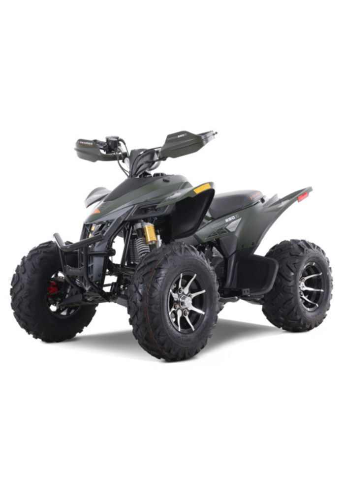 2025 Denago Powersports Daytona 250 FI in tallahassee FL