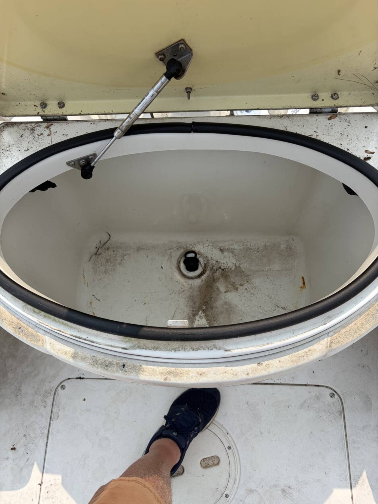 A photo of this 2003 Seaswirl Striper 2101