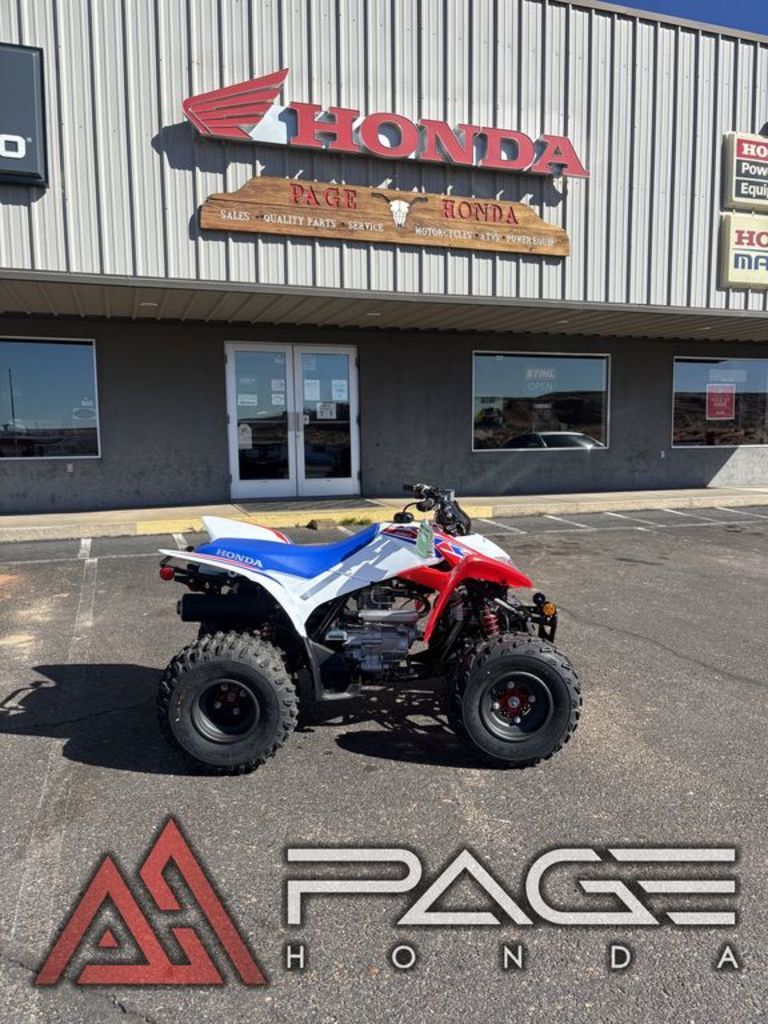 2026 Honda® TRX250X in page AZ