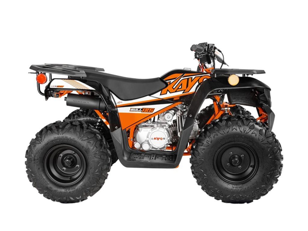 2025 Kayo Bull 125 in clearwater FL