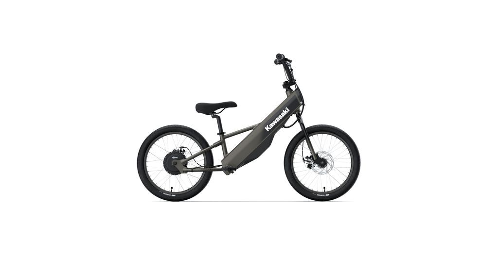 2024 Kawasaki Elektrode 20 FS in Conneaut Lake, PA