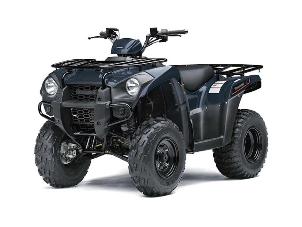 2025 Kawasaki Brute Force® 300 in virginia beach VA