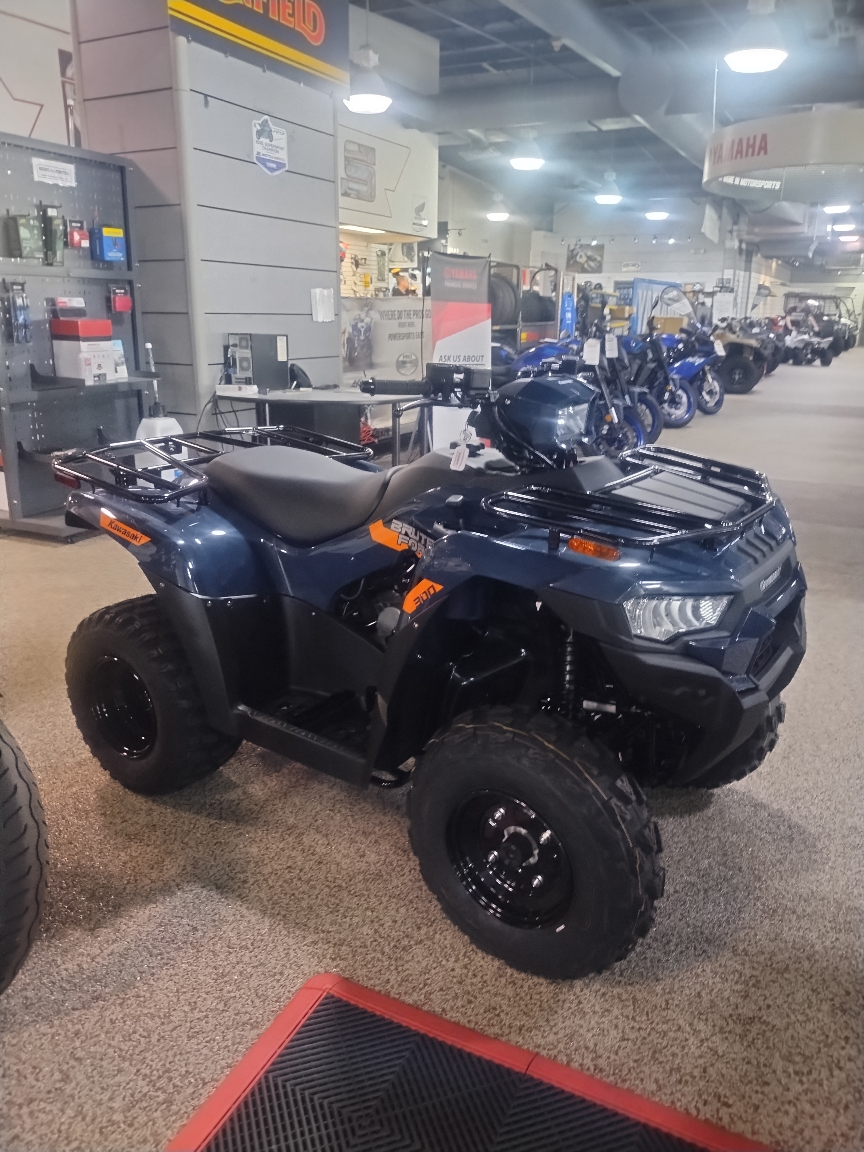 2026 Kawasaki Brute Force® 300 in bear DE