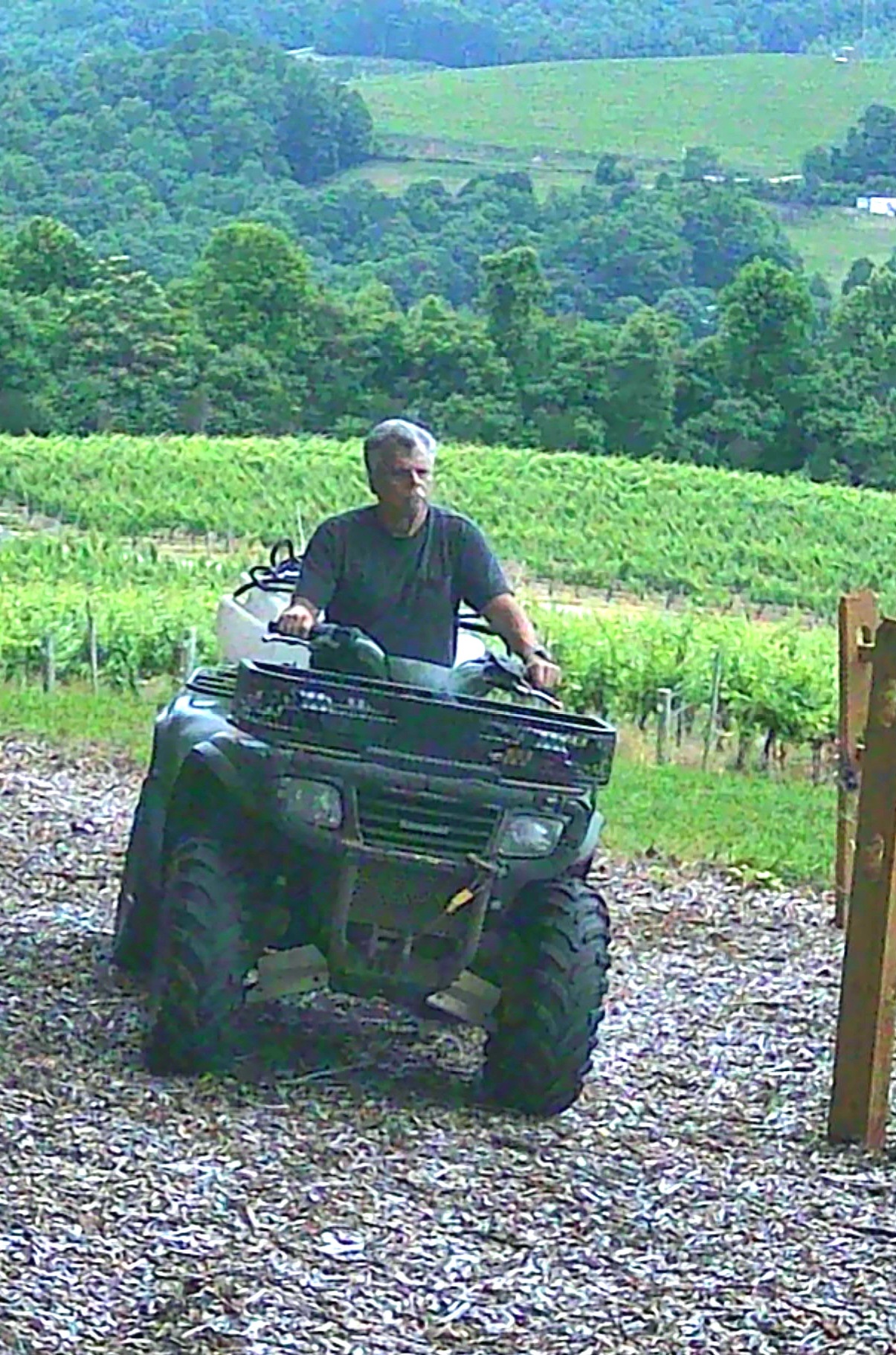 2002 Kawasaki PRAIRIE 650 4X4 in edneyville NC
