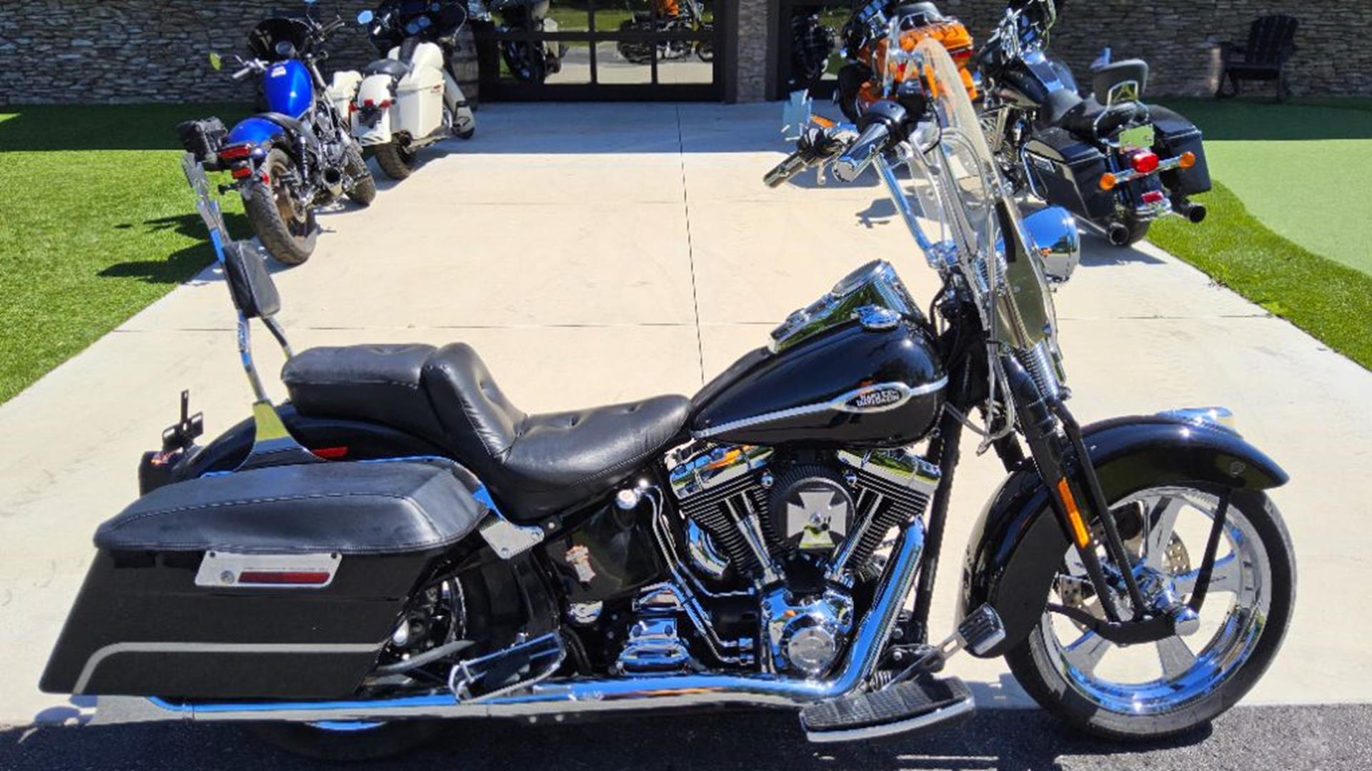 2005 Harley-Davidson FLSTSC/FLSTSCI Softail® Springer® Classic SOFTAIL CLASSIC in Wildwood, FL