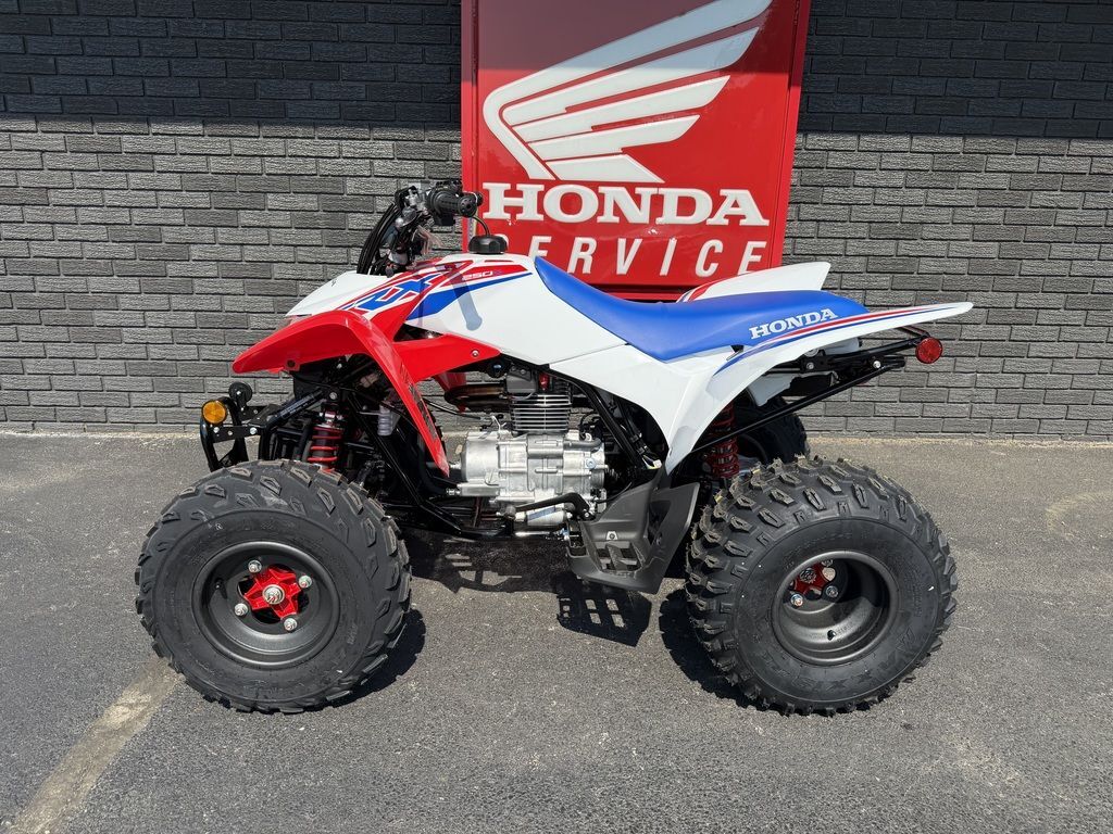 2026 Honda® TRX250X in ottawa IL