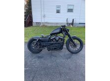 Motorcycle Profile of the Month: Harley-Davidson Sportster image