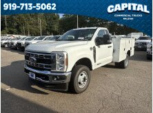 Commercial Trucks with the Highest Towing and Payload Capacities image