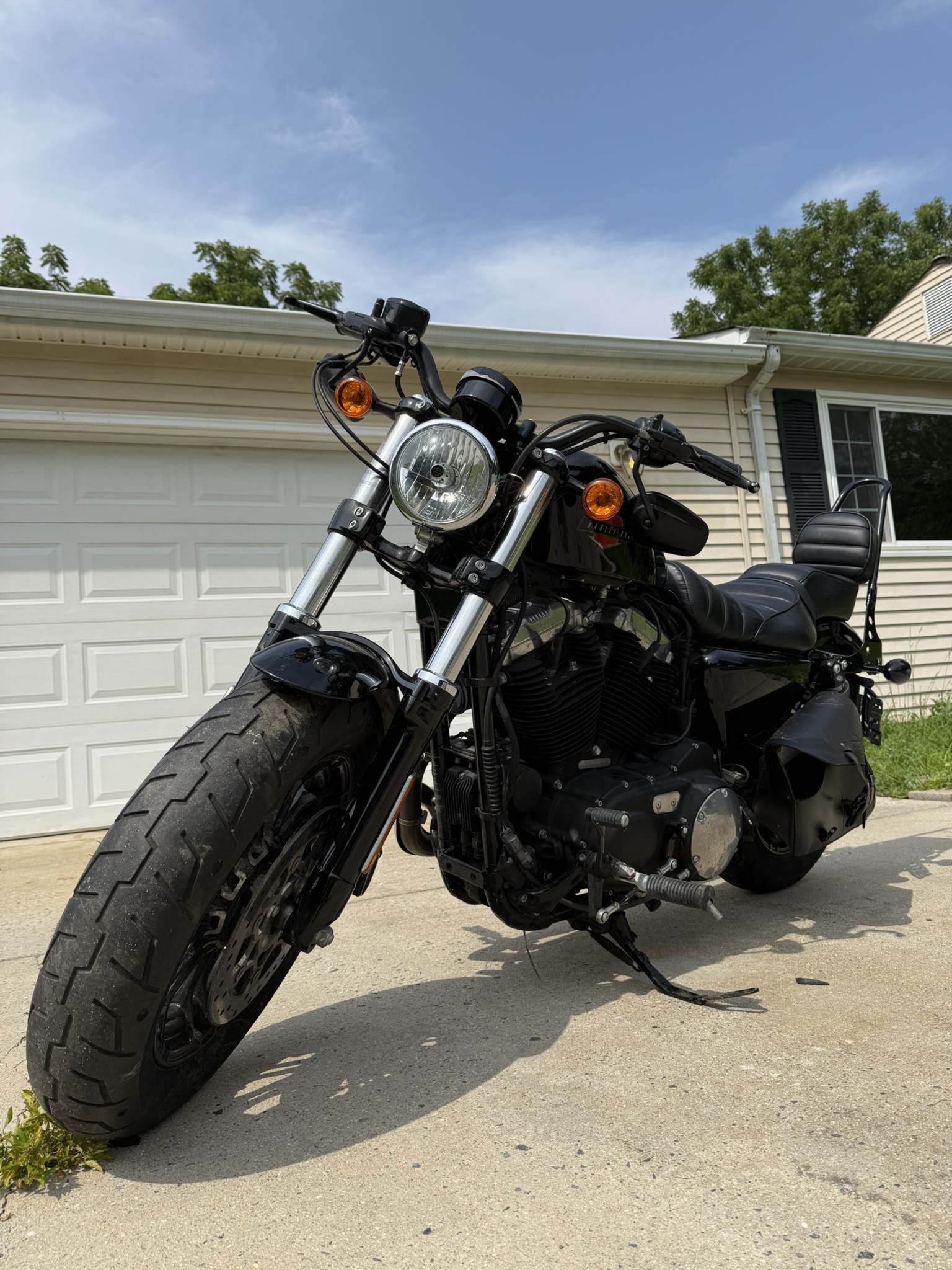 2019 Harley-Davidson SPORTSTER 1200 CUSTOM XL1200C CUSTOM XL1200C in Damascus, MD