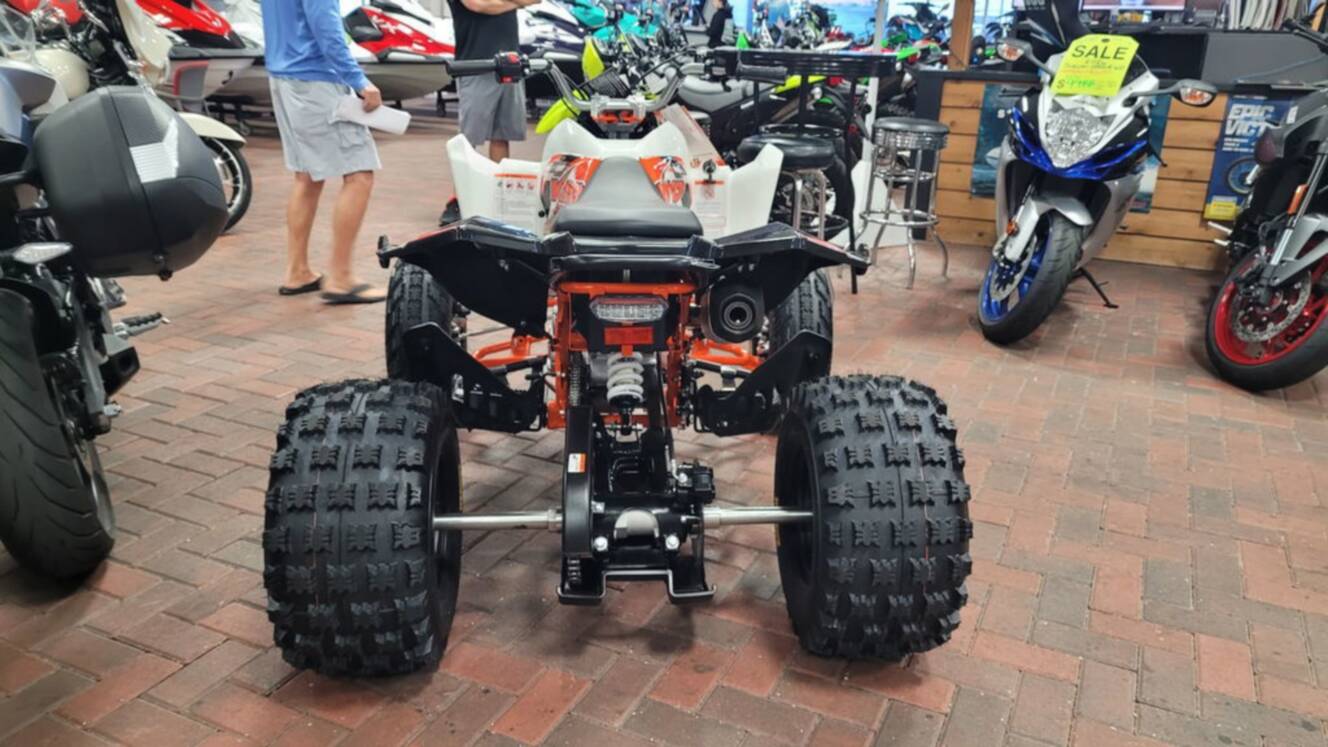 A photo of this 2026 Kayo Storm 300 EFI