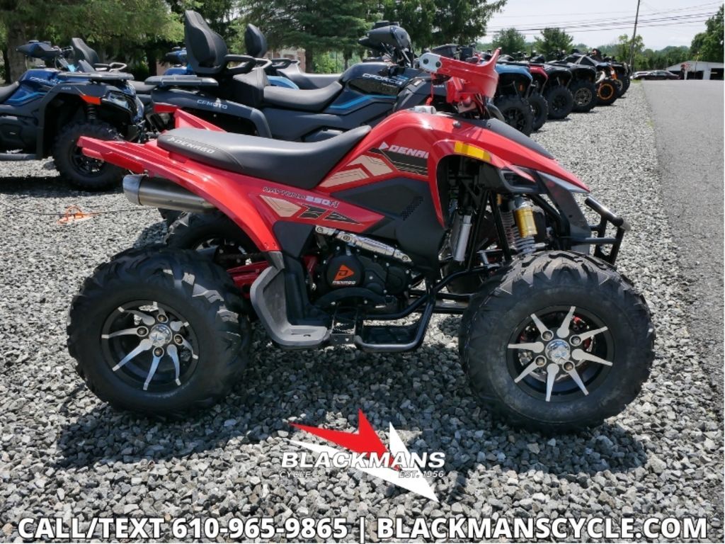2025 Denago Powersports Daytona 250 FI in emmaus PA