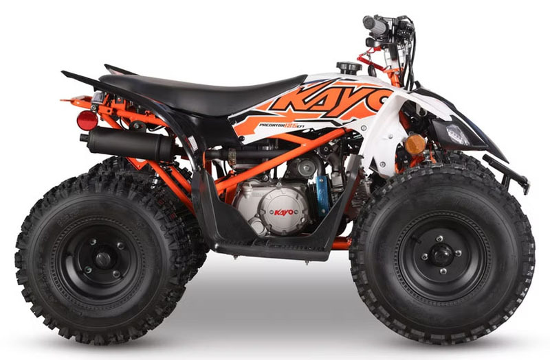 2026 Kayo Predator 125 EFI in warren OH
