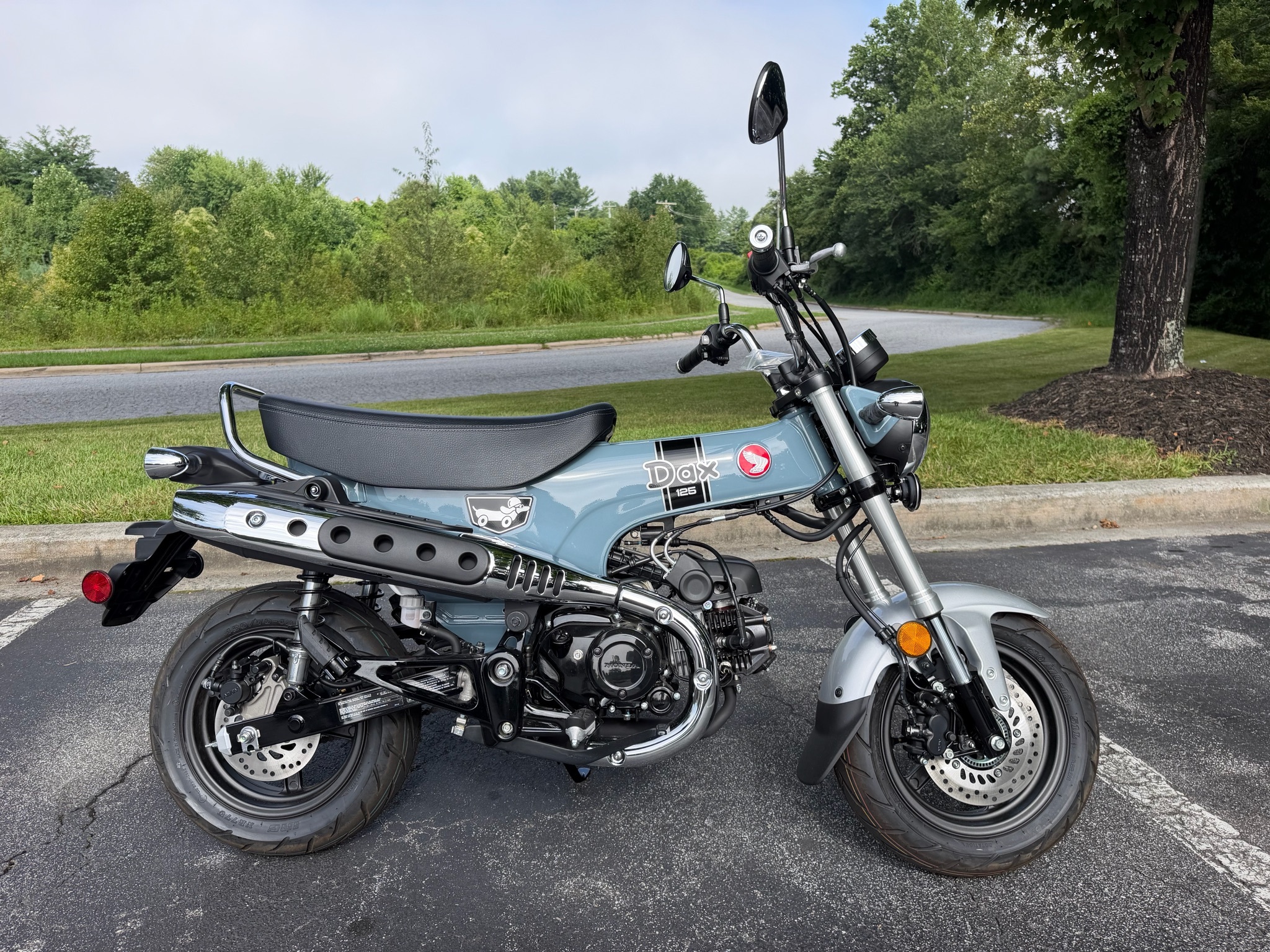 2025 Honda Dax 125 125 in Hendersonville, NC
