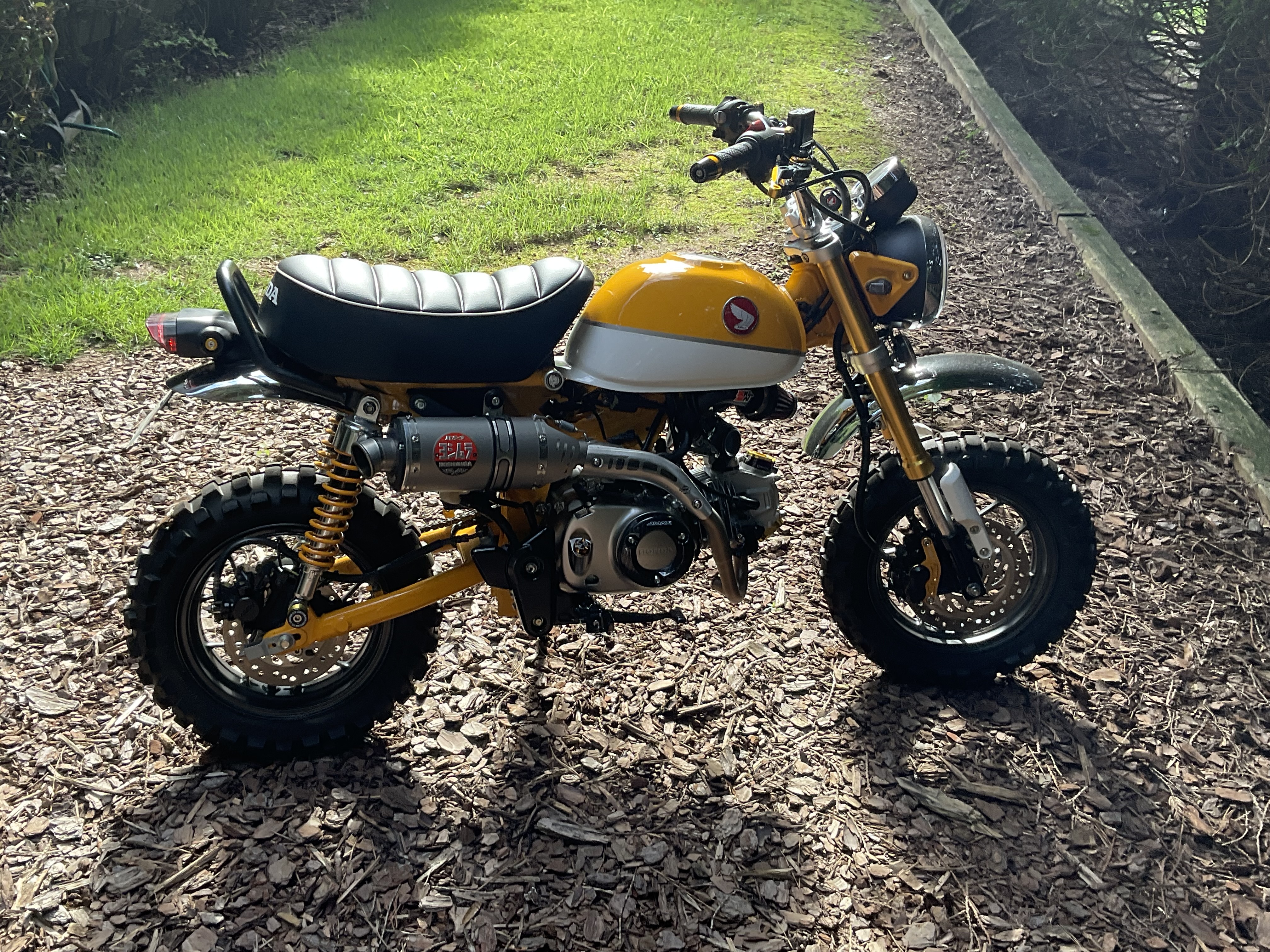 2019 Honda MONKEY 125 125 in Canton, GA