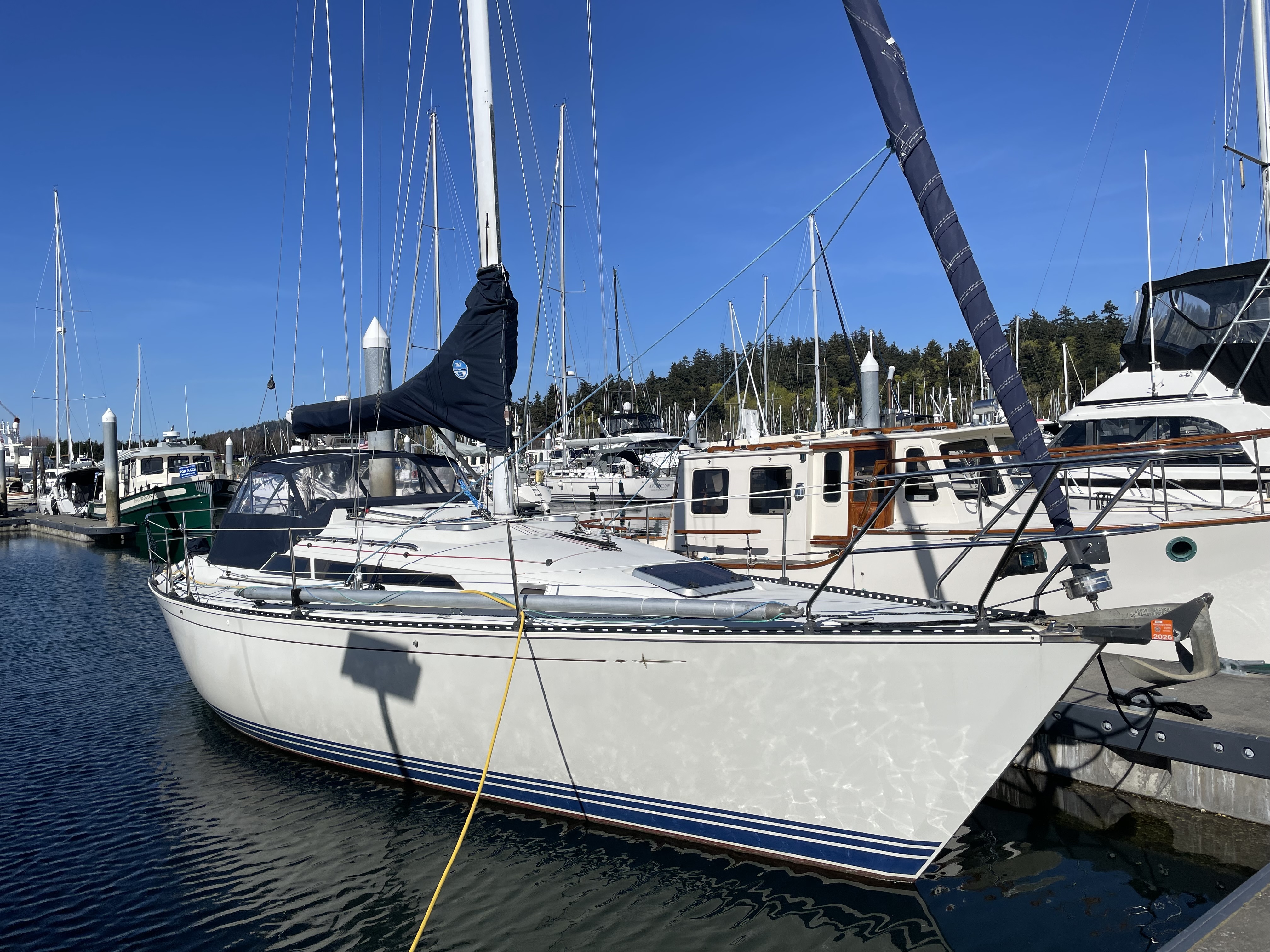 1991 C&C Yachts 34-36 PLUS in anacortes WA