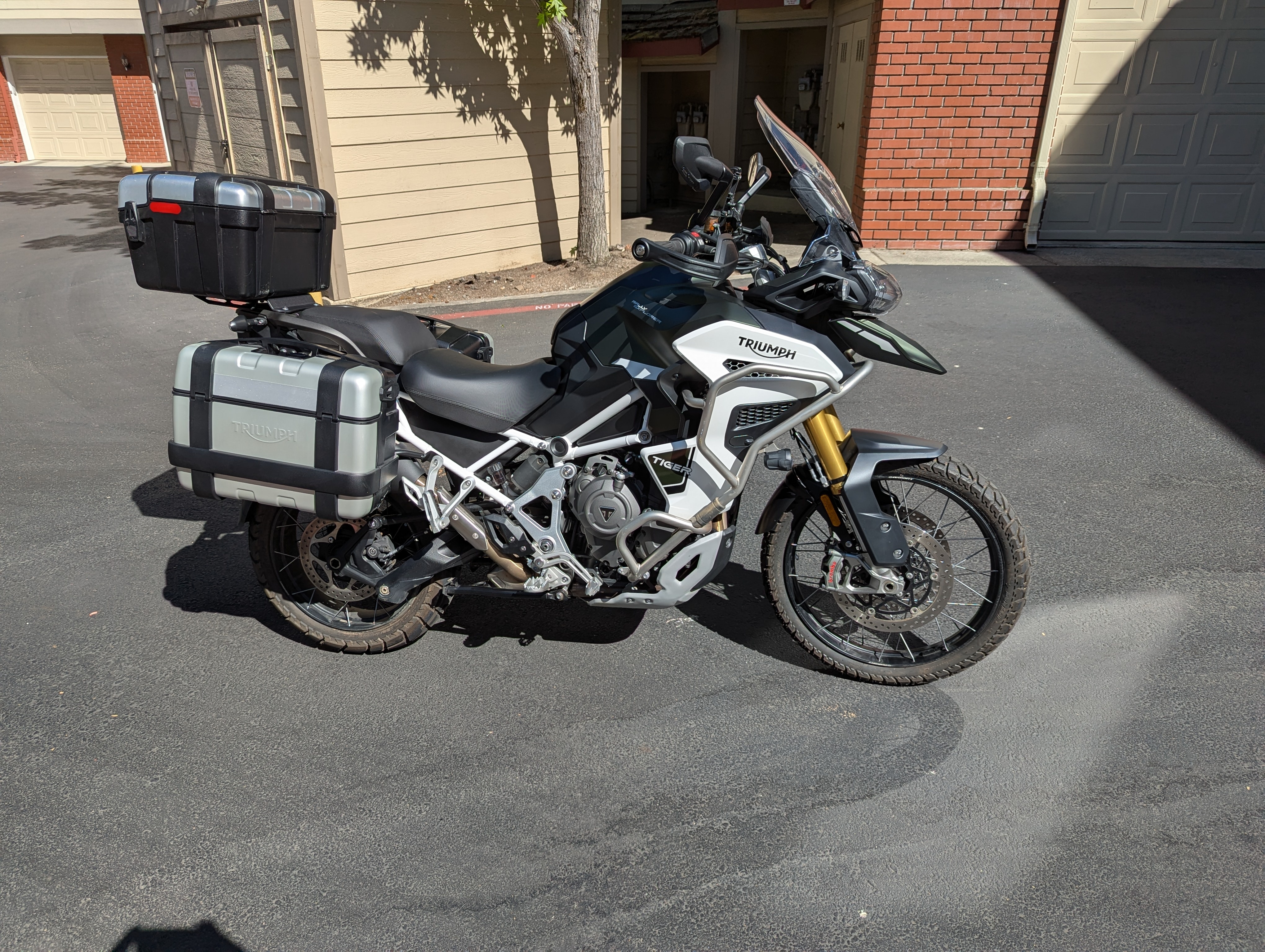 2023 Triumph TIGER 1200 RALLY EXPLORER RALLY EXPLORER in Pleasanton, CA