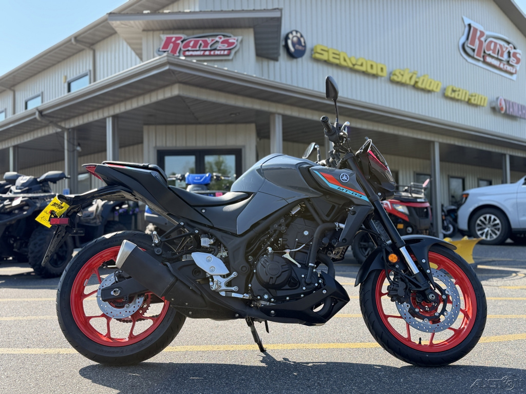 2021 Yamaha MT 03 03 in Grand Rapids, MN