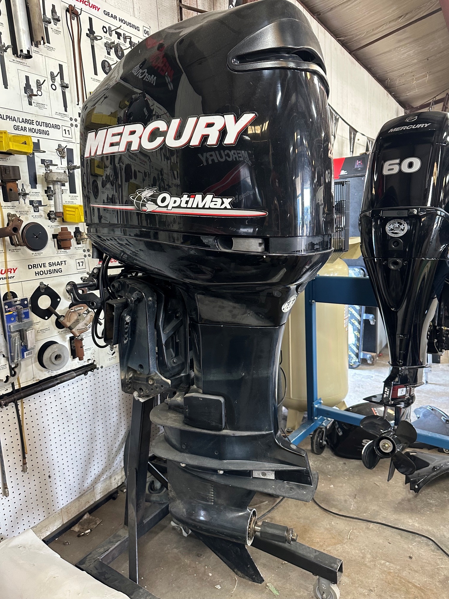 2006 Mercury 225 OptiMax XL in roaming shores OH