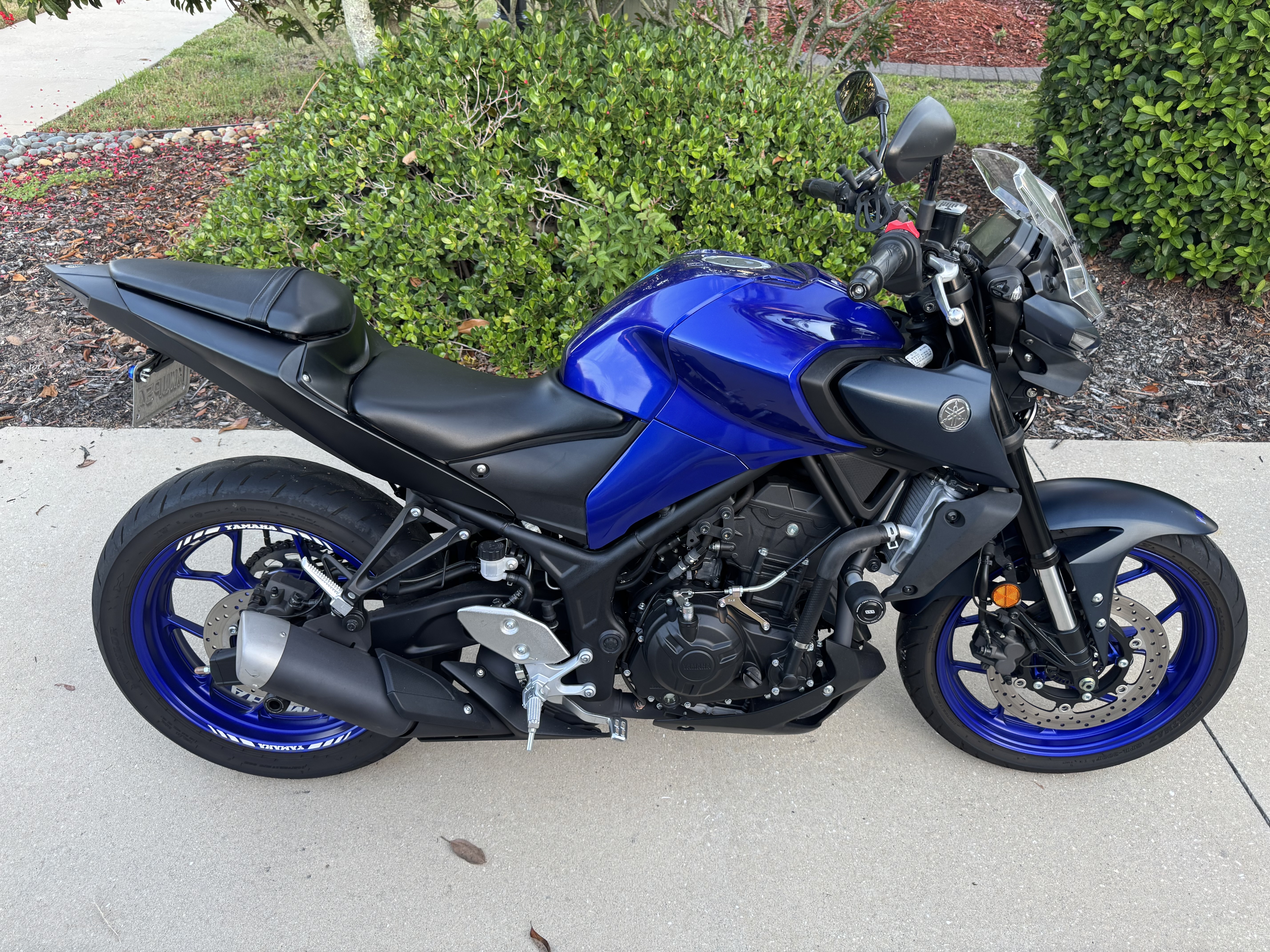 2023 Yamaha MT 03 03 in Bradenton, FL