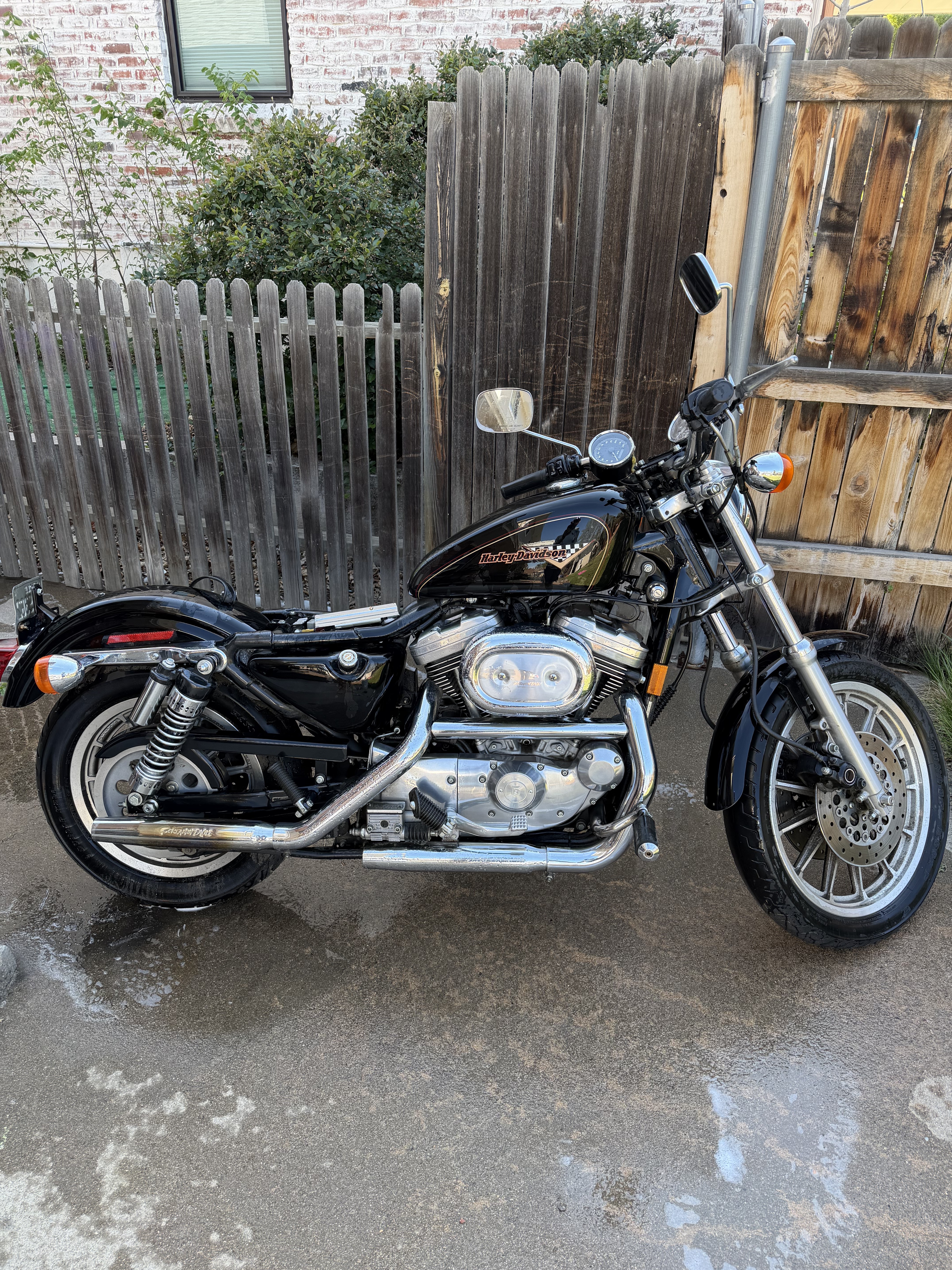 1995 Harley-Davidson SPORTSTER 1200 SPORT SPORT in Golden, CO