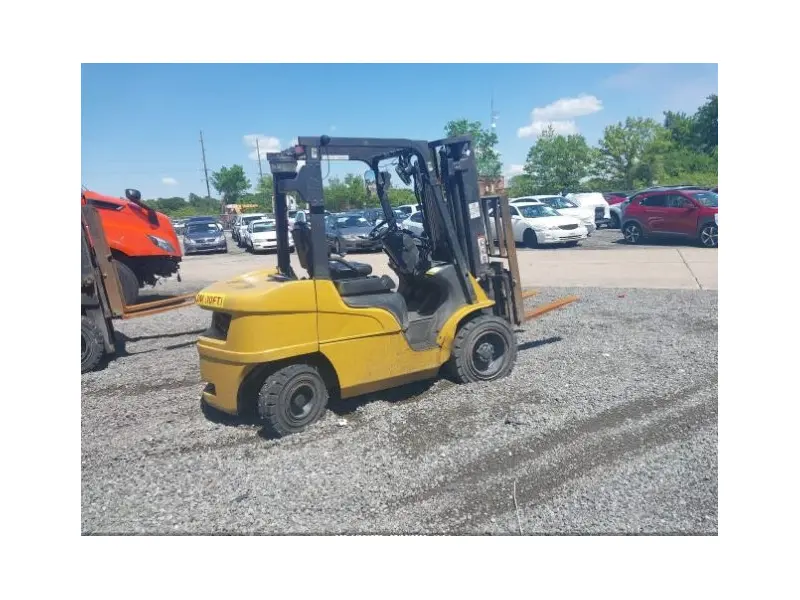 2023 Caterpillar DP30N5