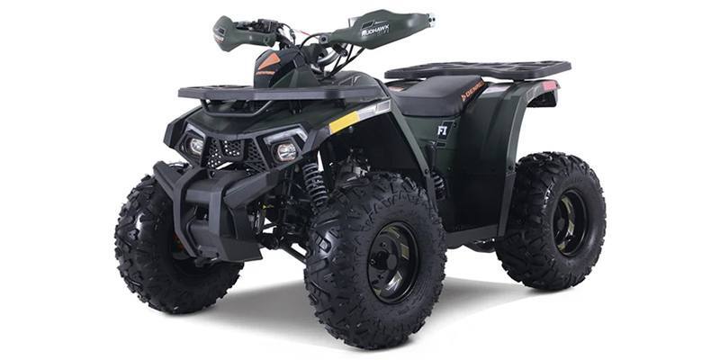 2026 Denago Powersports Mudhawk 10FI Sport ATV