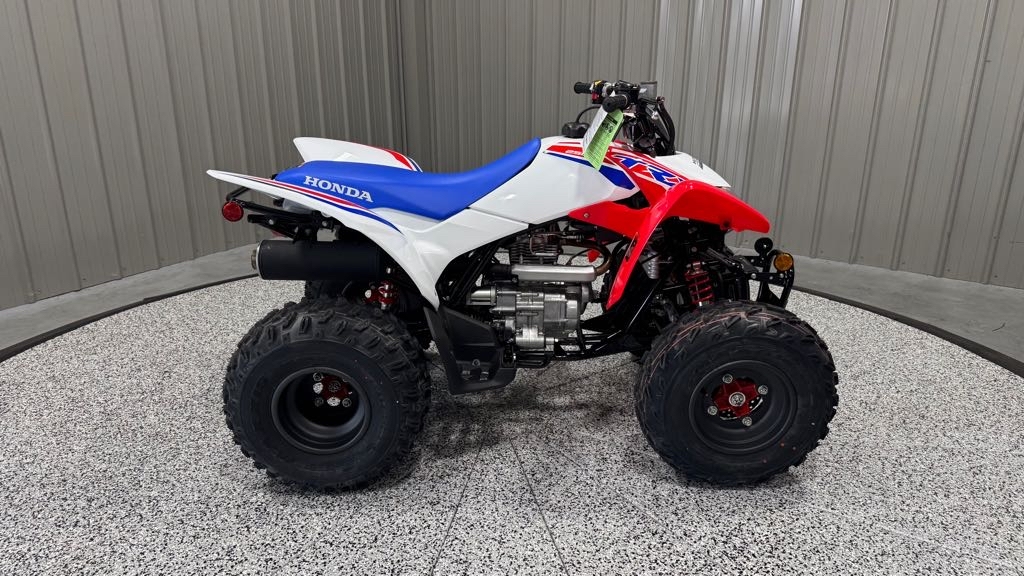 2026 Honda TRX250X in jonestown PA
