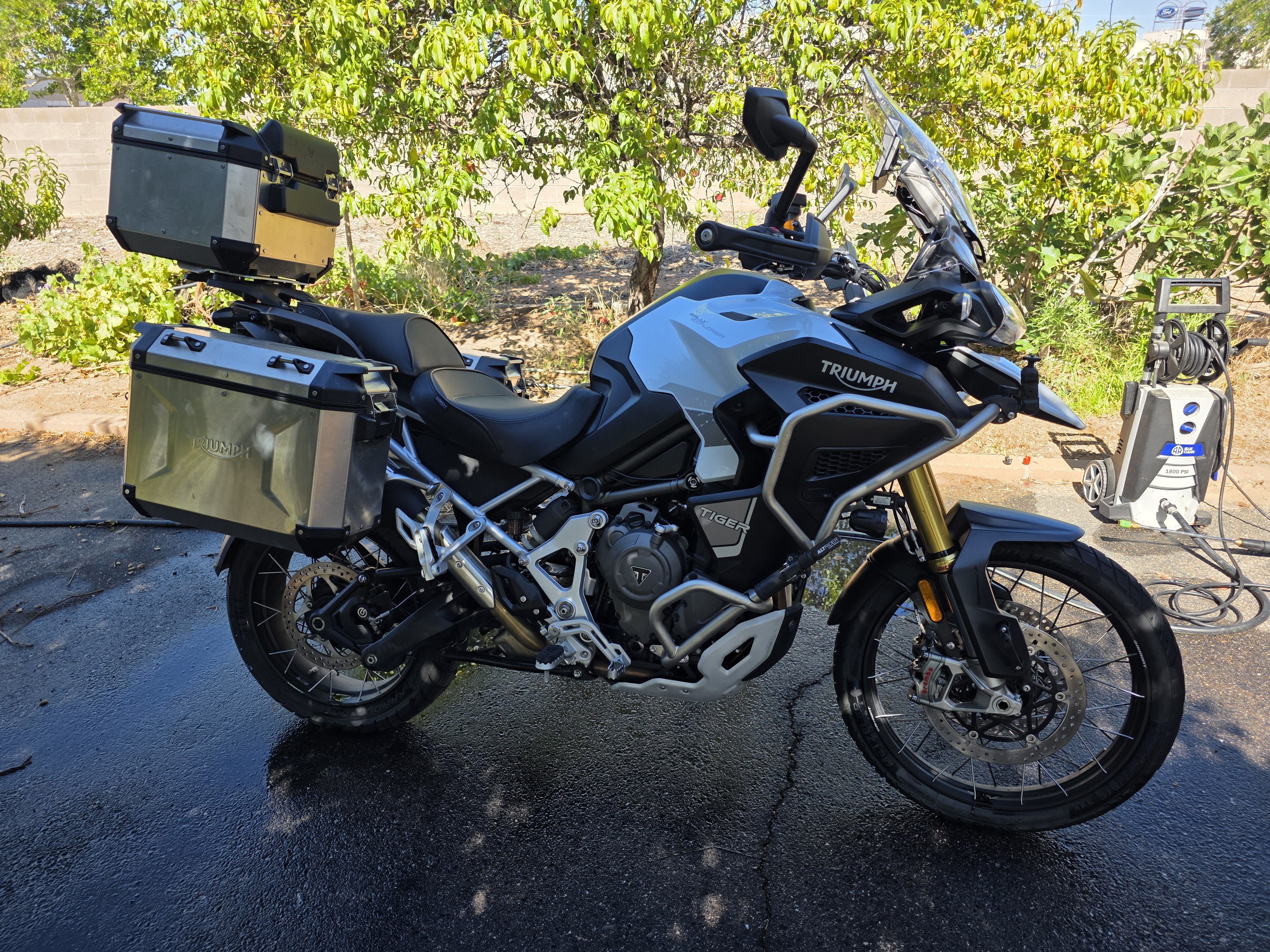 2023 Triumph TIGER 1200 RALLY EXPLORER RALLY EXPLORER in Corrales, NM