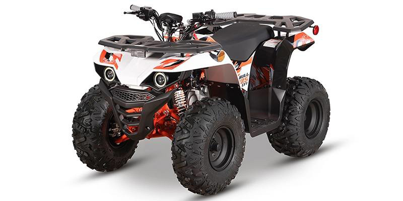 2026 Kayo Bull 125 EFI in lexington KY