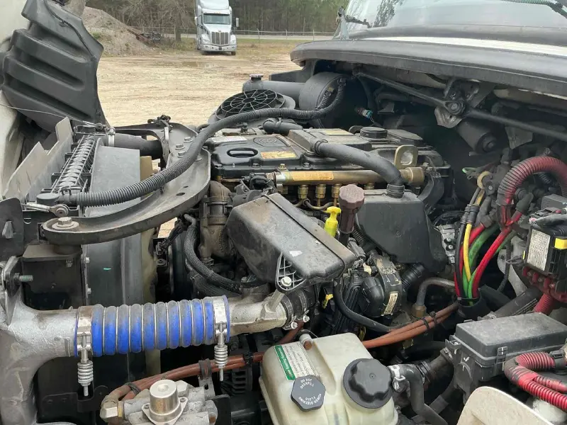 2019 FREIGHTLINER BUSINESS CLASS M2 106