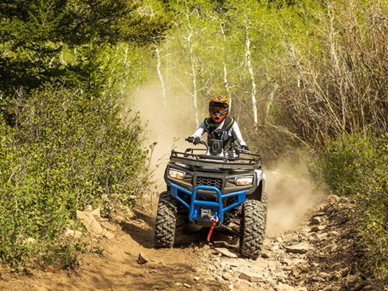 A photo of this 2026 Arctic Cat Alterra 600 Limited