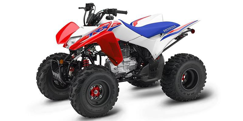 2026 Honda TRX250X 250X *Offsite Inventory* in westerville OH