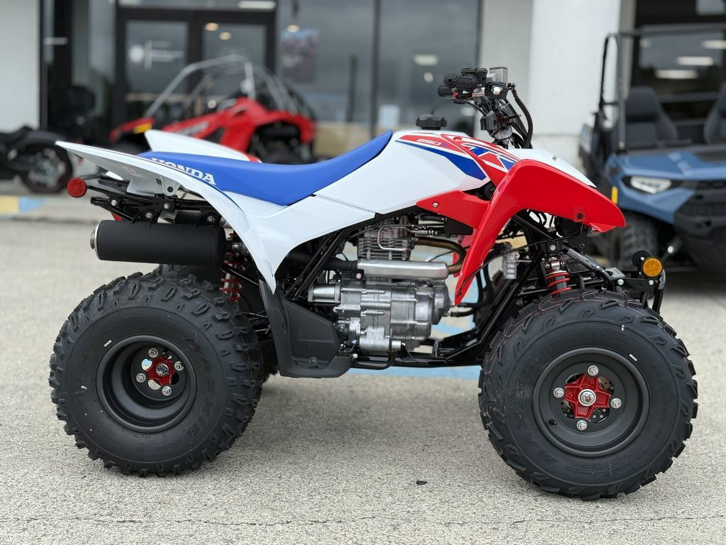 2026 Honda TRX 250X in huntsville AL