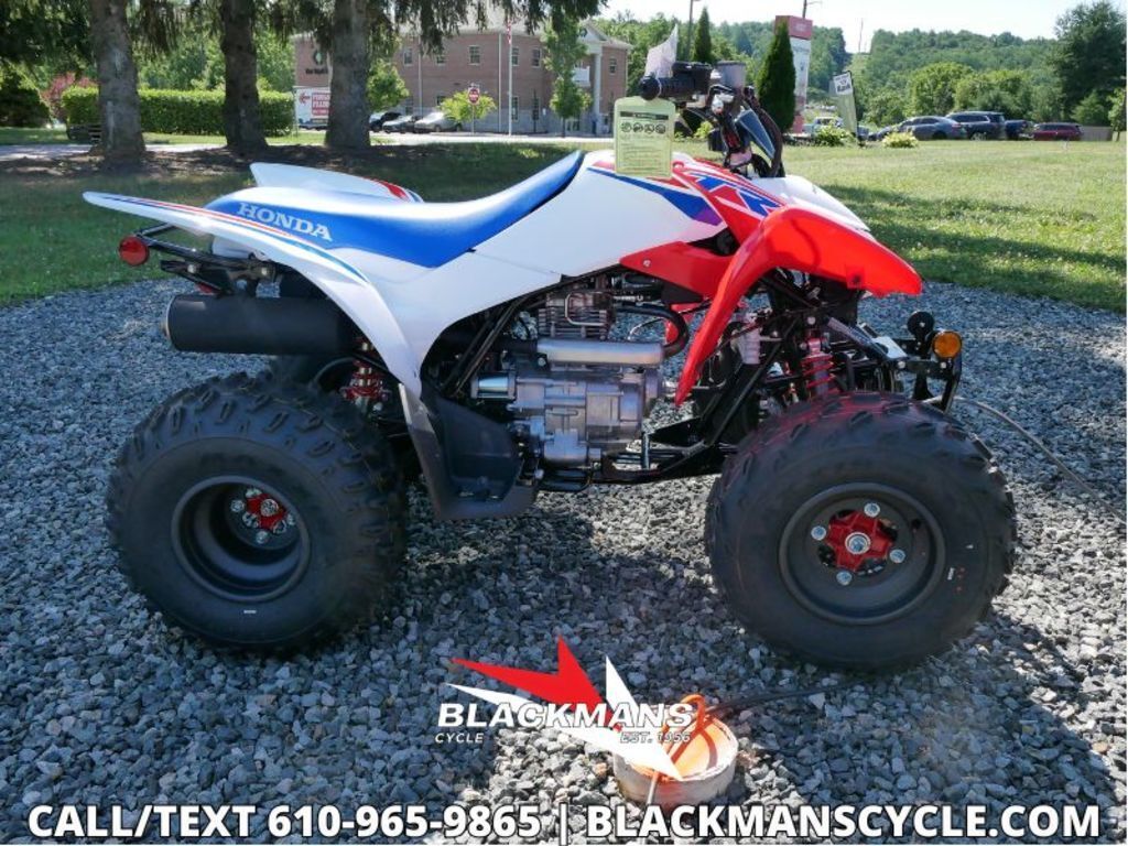 2026 Honda® TRX250X in emmaus PA