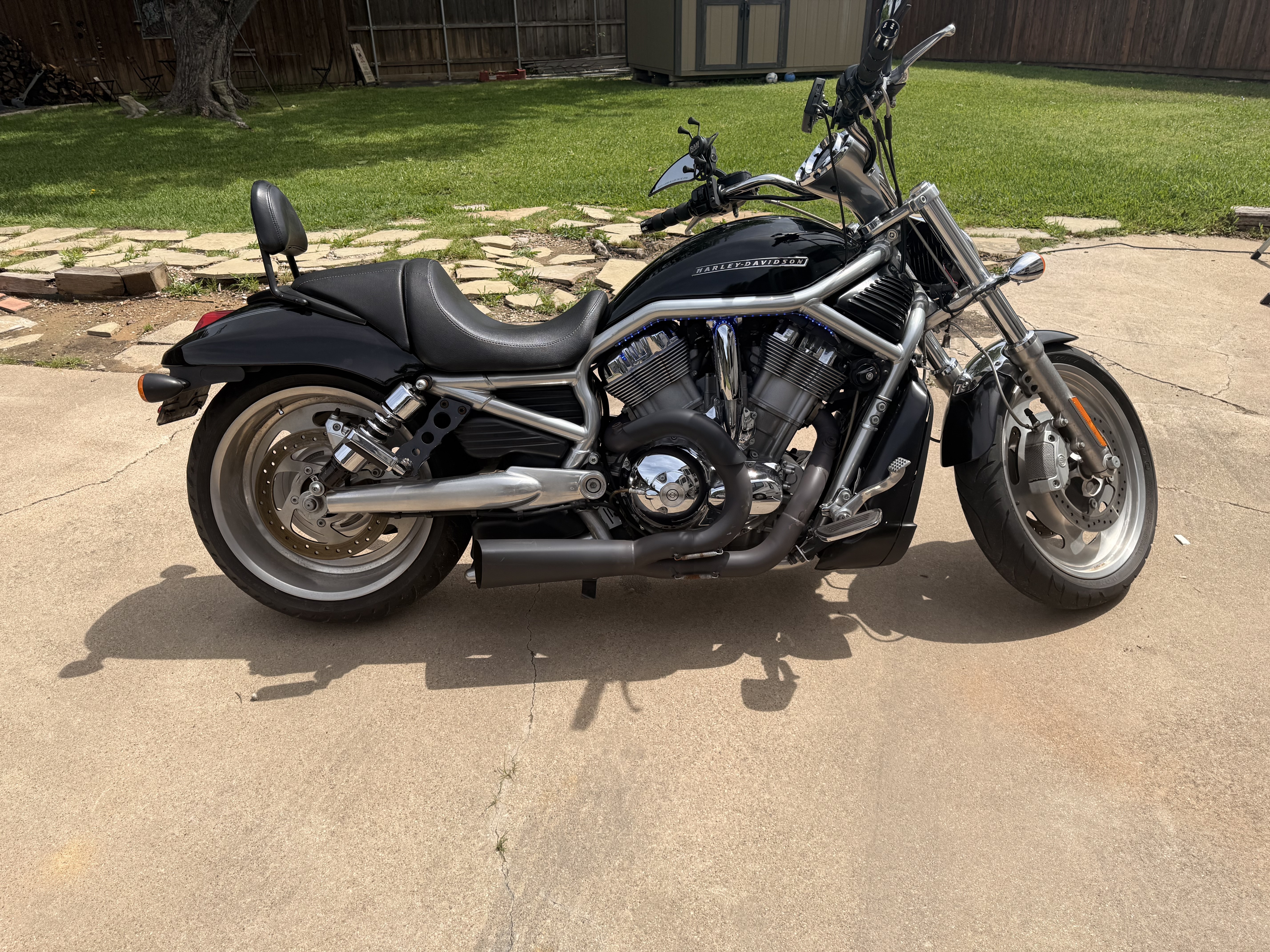 2007 Harley-Davidson V-ROD MUSCLE MUSCLE in Arlington, TX