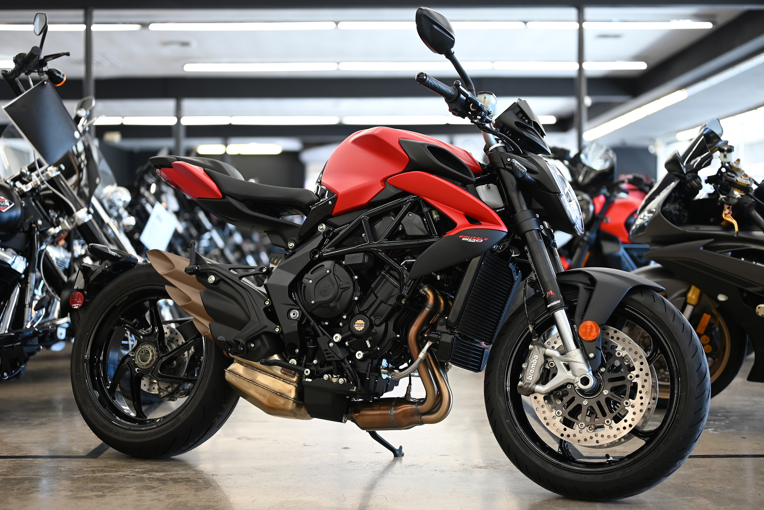 2026 Mv Agusta BRUTALE 800 800 in Lemon Grove, CA
