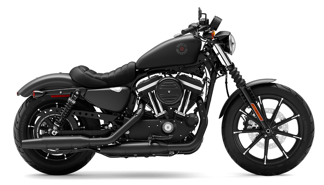 2022 Harley-Davidson Iron 883 IRON in Winterville, NC