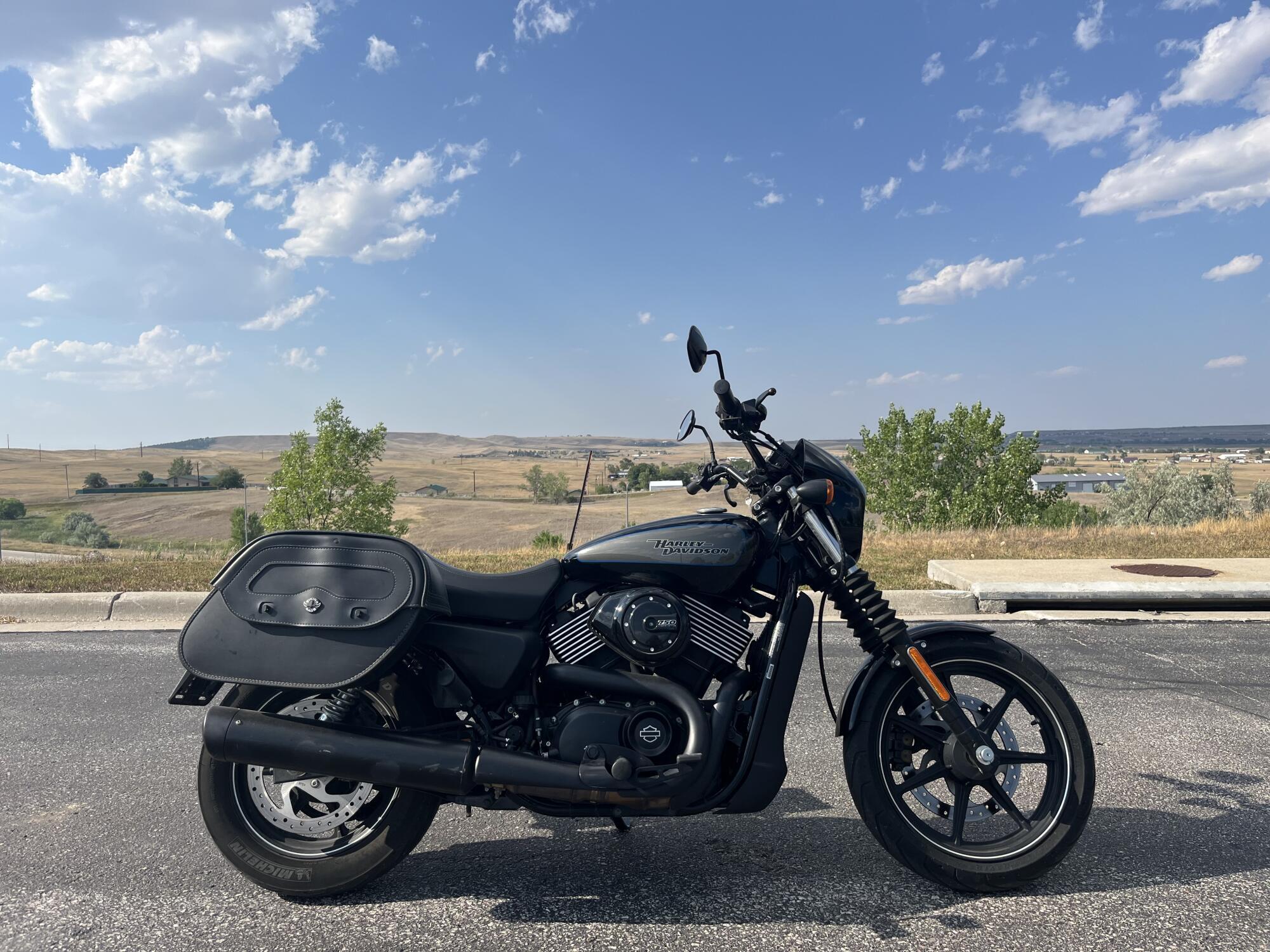 2017 Harley-Davidson Harley-Davidson Street 750 750 in Rapid City, SD