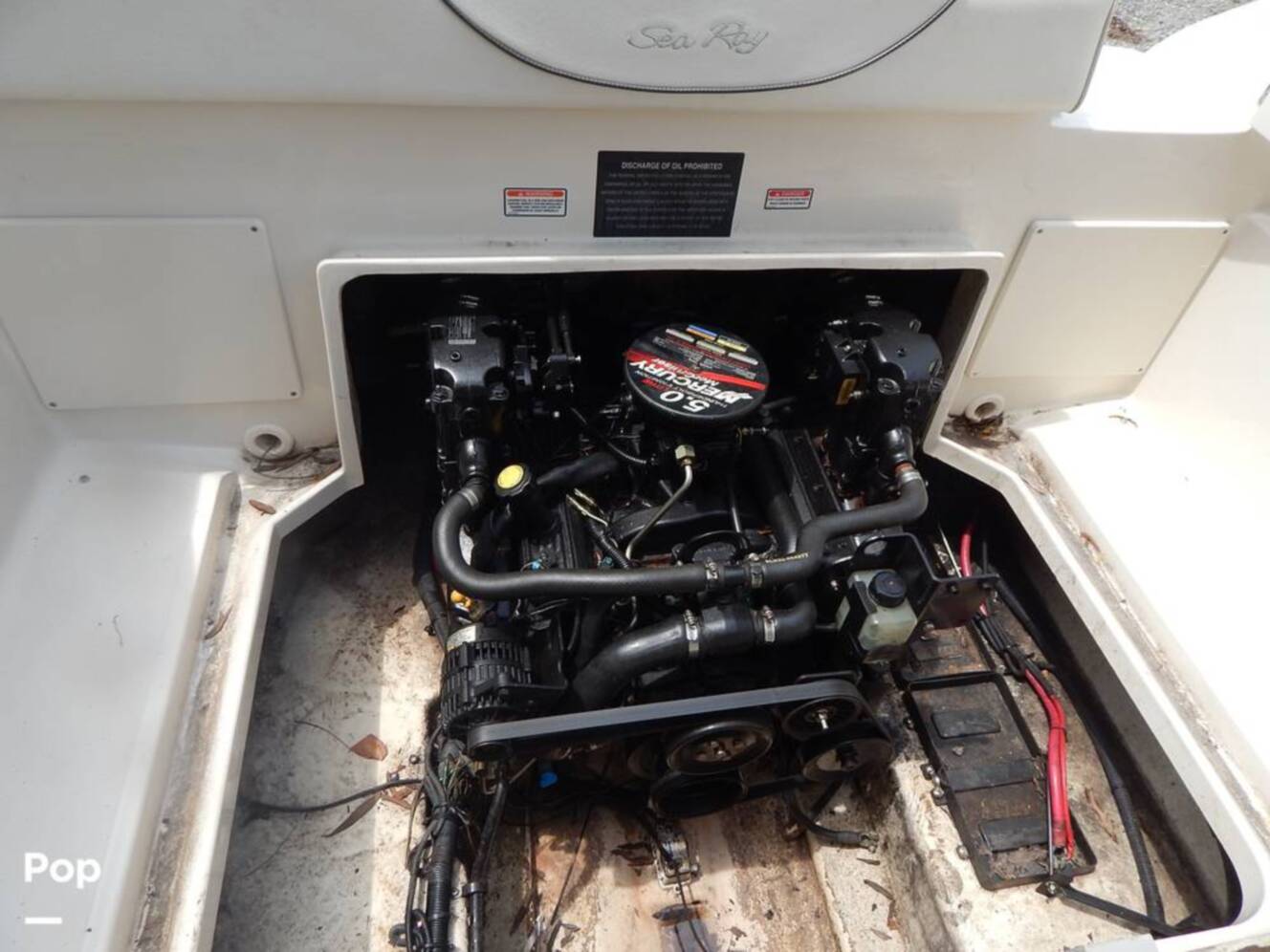 A photo of this 2004 Sea Ray 240 Sundeck