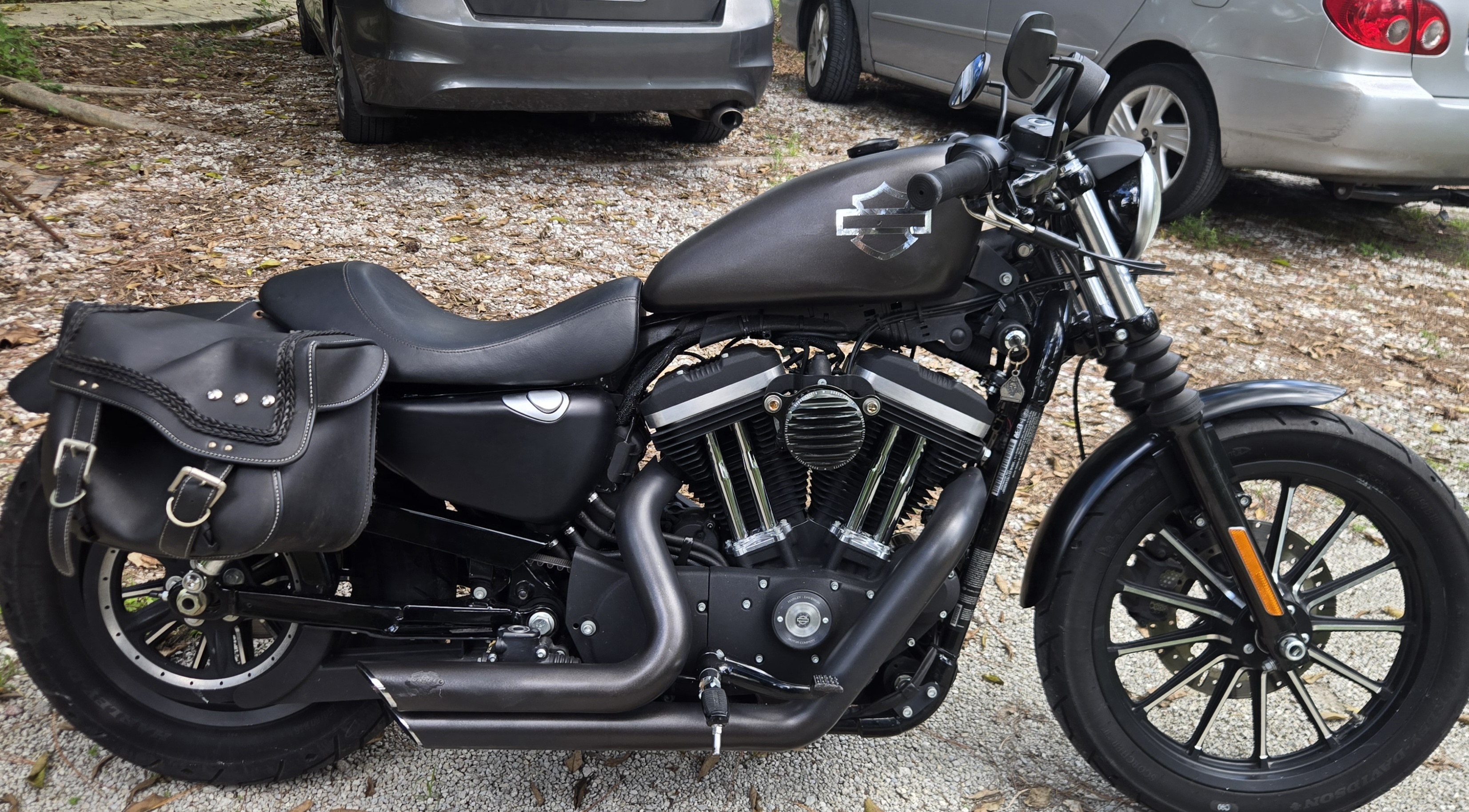 2014 Harley-Davidson SPORTSTER 883 IRON IRON in Naples, FL