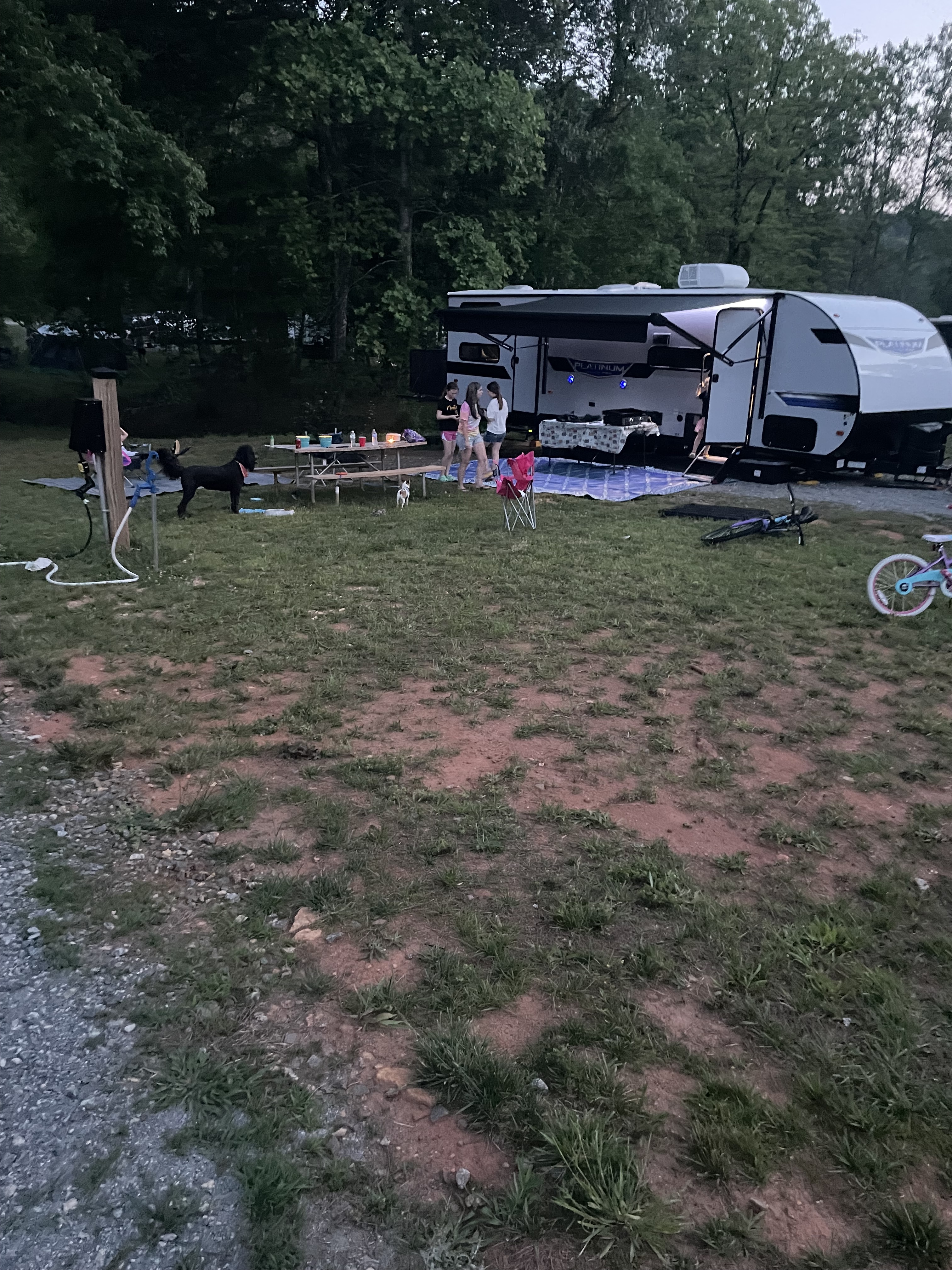 2020 Coleman LIGHT 2455BH in shelby NC
